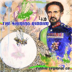Never Get Me Down - Jah Mason