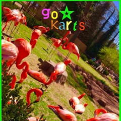 GOKARTS(ft. sensei ric & samcantoo)