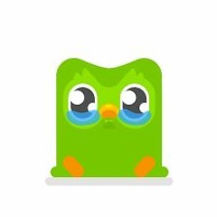 The Duolingo Song By SG5