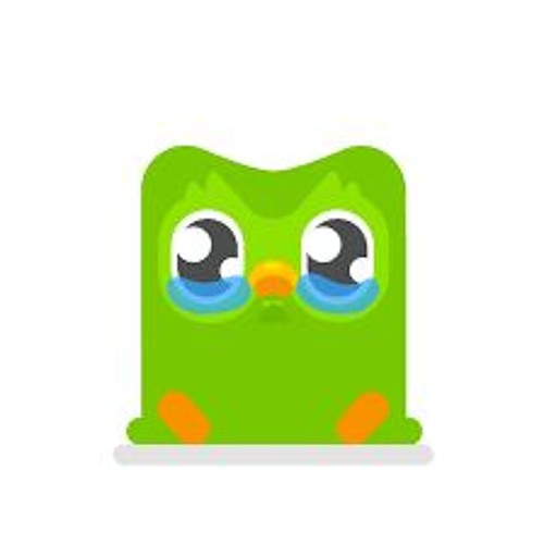 The Duolingo Song By SG5