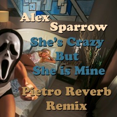 Alex Sparrow - Shes Crazy But Shes Mine (Pietro Reverb Remix)