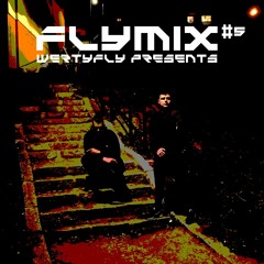 FLYMIX #5 - WertyFly (warm up)