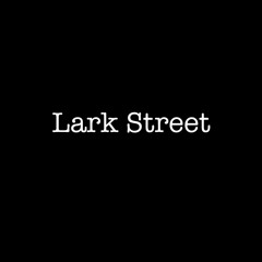 Lark Street