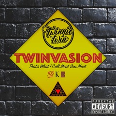 Twinvasion: That's What I Call Meat Sou Meat