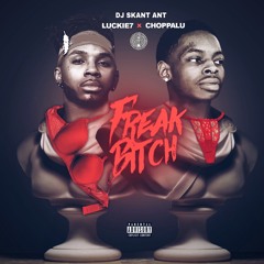 Dj Skant Ant (Freak Bitch feat. Luckie7 & Choppa Lu) [Prod. By Beat Demons]
