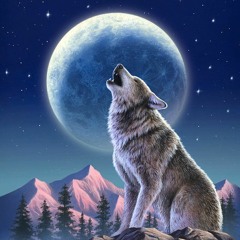 Howlin At The Moon (prod. Asher Goldstein)