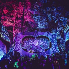 Future Forest 2018 | Live at the Nest Stage Saturday night