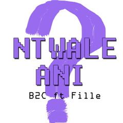 Ntwale Ani