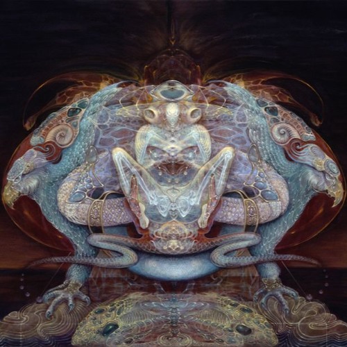 Liquid Bloom - Ceremonial Grounding - Fusion dj/live set