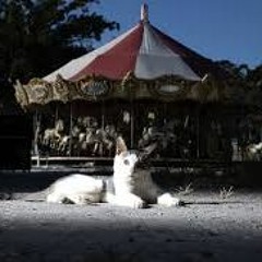 ZOMBIE CAROUSEL