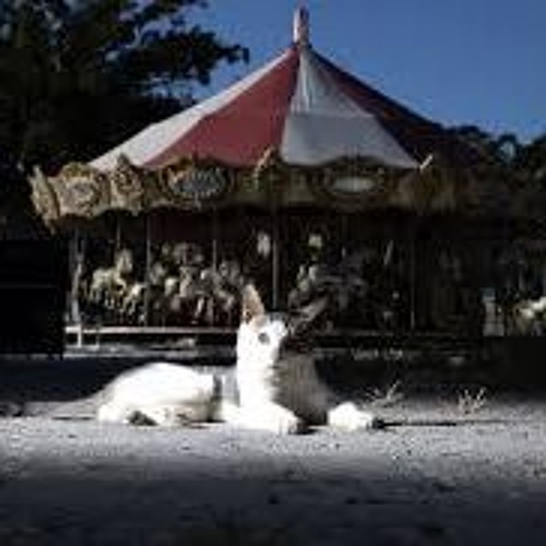 ZOMBIE CAROUSEL