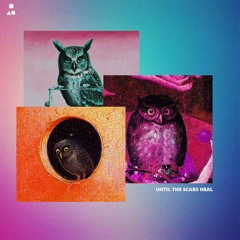 UNTIL THE SCARS HEAL [OWL VOL 2.5]