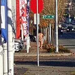 Subliminal Criminals