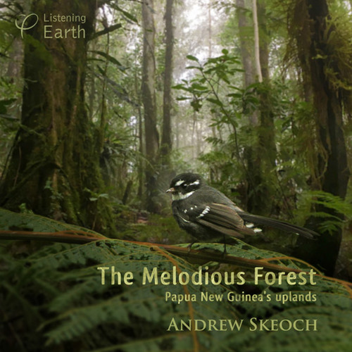 The Melodious Forest: Album Sample