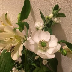 花粉症