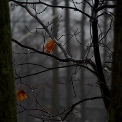 Dimitrovisch // NovaXenon - Double Helix