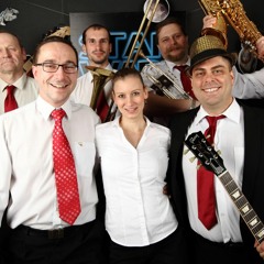 Slunečnice - Inka Zemánková