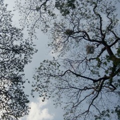 Track One: Pag-ibig, Kupido, etc.