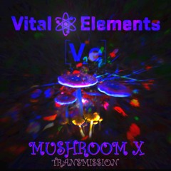 Vital Elements - Mushroom X - Buy now from Bandcamp, Out 12/04/19