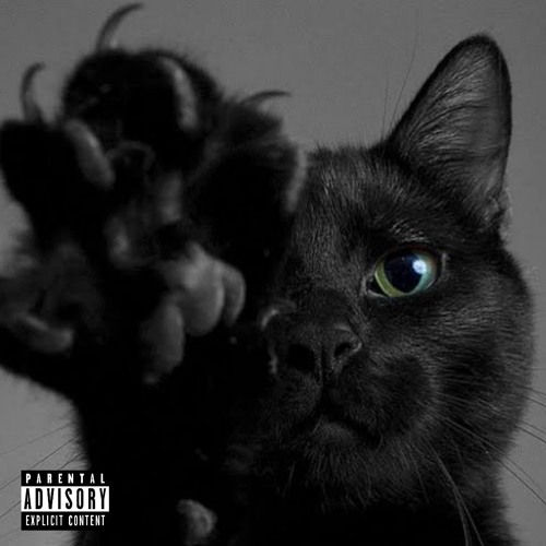 Black Cat (Bonus Track)