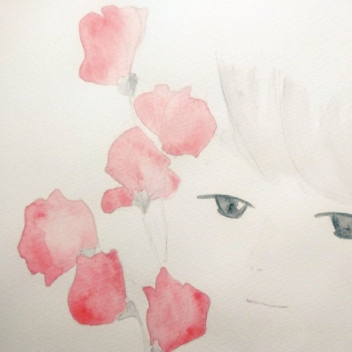 Stream 赤いスイートピー Cover By Mahiro Listen Online For Free On Soundcloud