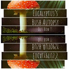 Eucalyptus - Bush Tales