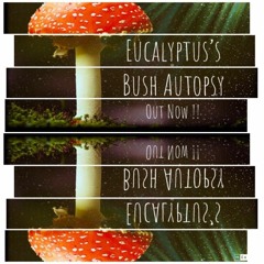 Eucalyptus - Visual Intelligence(EP)- OUT NOW!!!