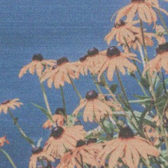 säm x nuuskmõmmik - 16kraadi (prod. @aquinaswc)