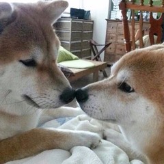 claypond got you in the club