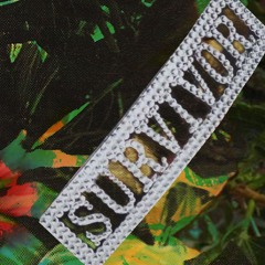 Destiny's Child - Survivor (FRANK REMIX)