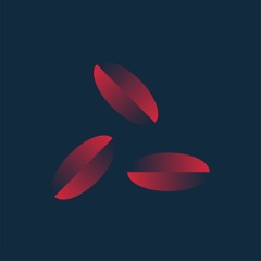 Senza Elica (Prod. Dbackinyahead)