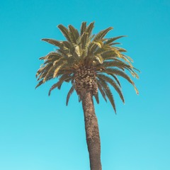 Tropical