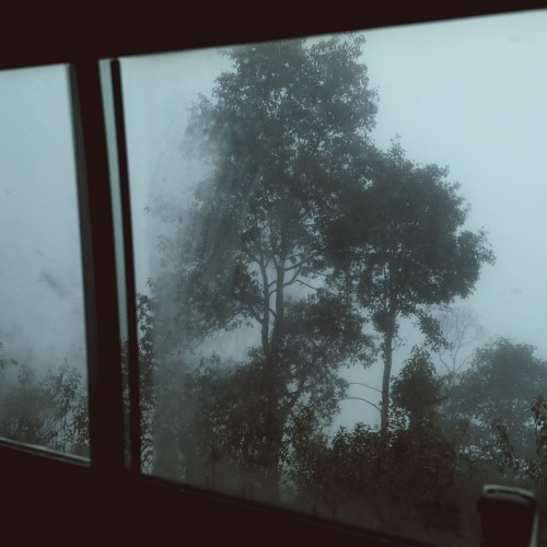 Randloev // Thoughts