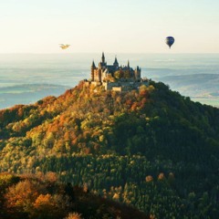 ⟡✨☀️🌴Ɗμℛℊ℮ȡ 0ǚŧ🌳🍄✨⟡