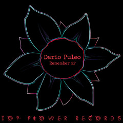 Dario Puleo - Lovely Frequency (2\nd)