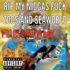 Fuck Sea World And Zoos
