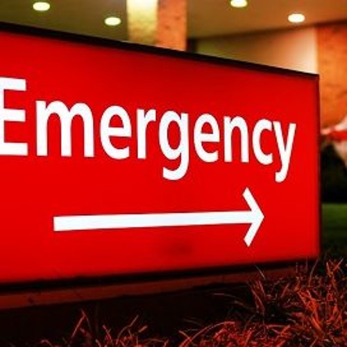 ♫ EMERGENCY BERGENSI⋆ - 2019 [S_D] Req. Erwin-