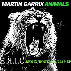 Martin Garrix - Animals (E.R.I.C Remix)