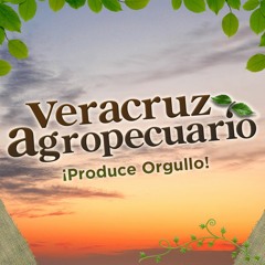 Los Sonex - Tema de Veracruz Agropecuario (versión instrumental)