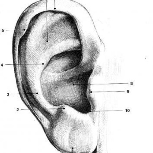 Episode Preter L Oreille By Corps Et Ame Episode Preter L Oreille By Corps Et Ame