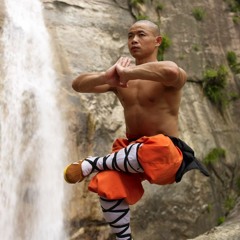 Dj Phoenix - Shaolin Dojo