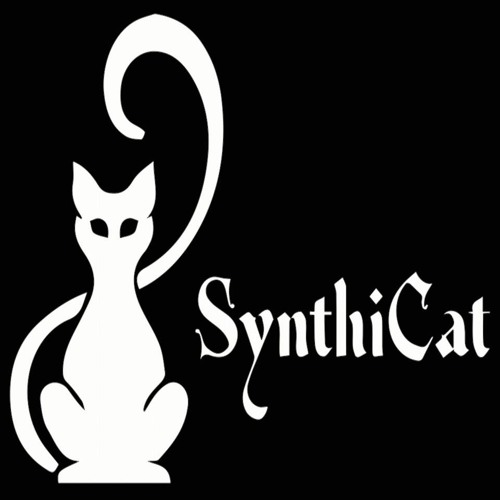 Nico Casceur @ Ungeniert - SynthiCat Karlsruhe // 05.04.2019