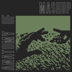 Anatomy Of Mashup - Let Me Hear You