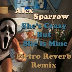 Alex Sparrow - Shes Crazy But Shes Mine (Pietro Reverb Remix)