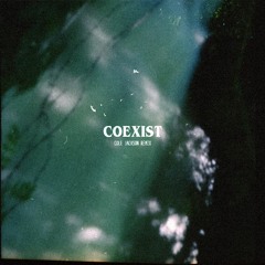 Coexist (Lambshead, Quiet Bison, & High Zombie Remix)