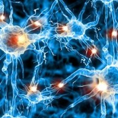 ANTES DE SER CONSCIENTES (Teoría del caos)