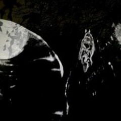 *CLEANED* LIL LOTUS FT. COLDHART - BLACK LEATHER