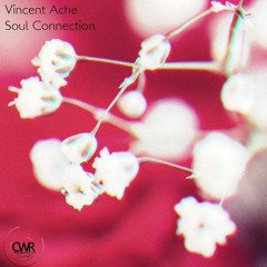 Vincent  Ache'- Take You Control (Original Mix)