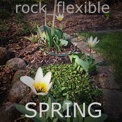 Spring - Rock_Flexible