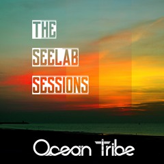 OCEAN TRIBE - VOLCANO LOVE